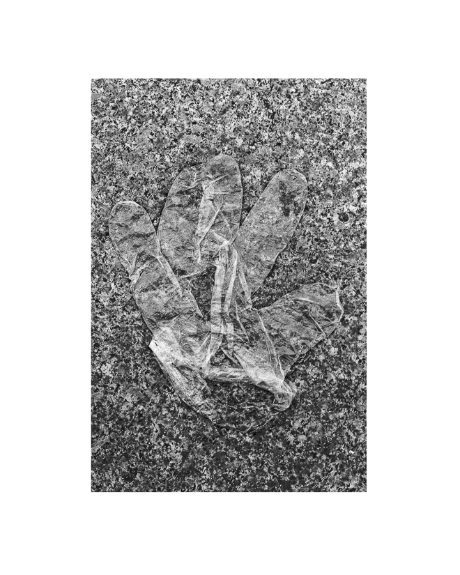 In the footstep of Ulysses XI season