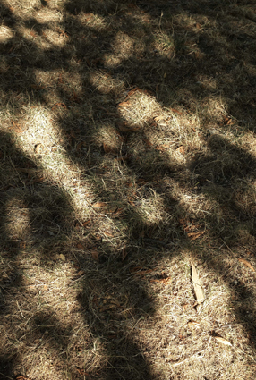 Light in the space